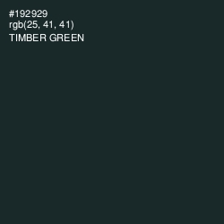 #192929 - Timber Green Color Image